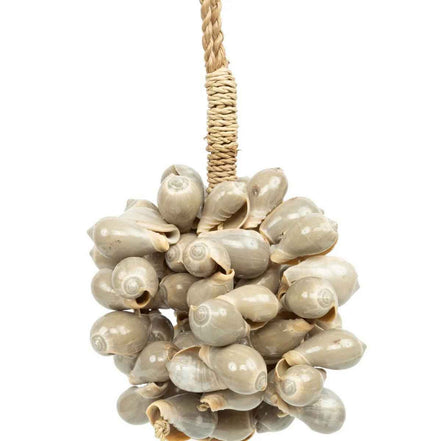 Die graue Muschelquaste Bazar Bizar Living