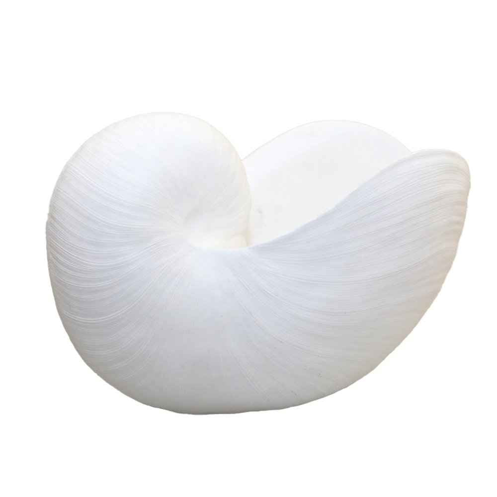 Dekorative weiße Schale 29x16.5x20.5 cm AULICA