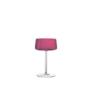 6 -gelöste Champagner -Chips 230 ml - Los 6 6 AULICA