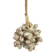 Die graue Muschelquaste Bazar Bizar Living