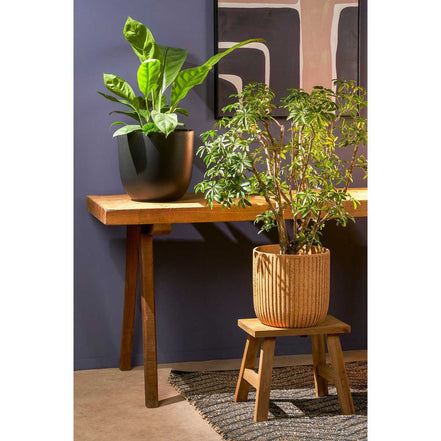 Bold wooden stool – L38 x W29 x H34 cm – recycled wood – brown
