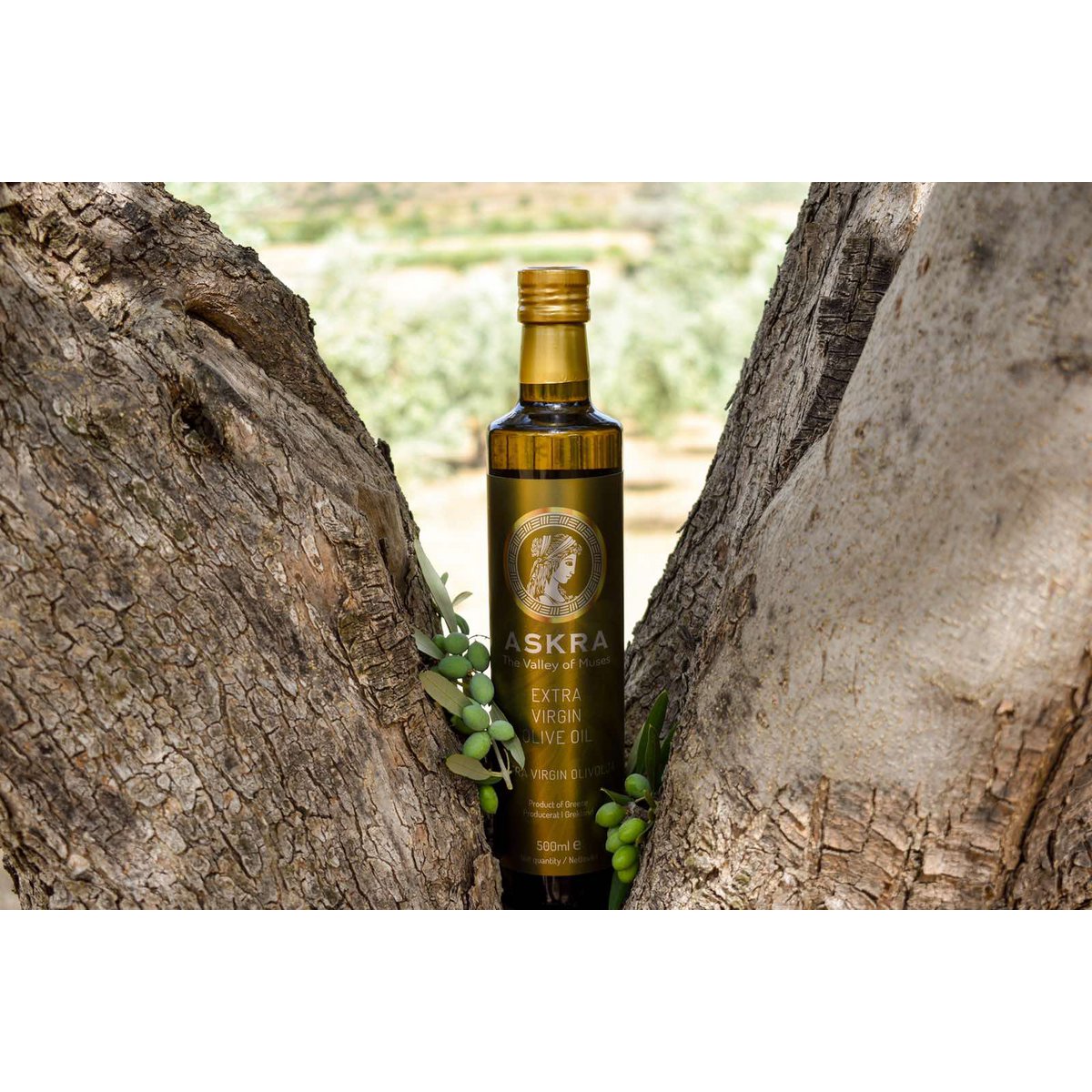 ASKRA Premium Monovarietales Extra Natives Olivenöl - Pimis Living
