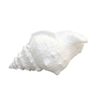 Dekorative weiße Schale 25x17x13cm AULICA
