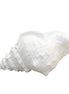 Dekorative weiße Schale 25x17x13cm AULICA