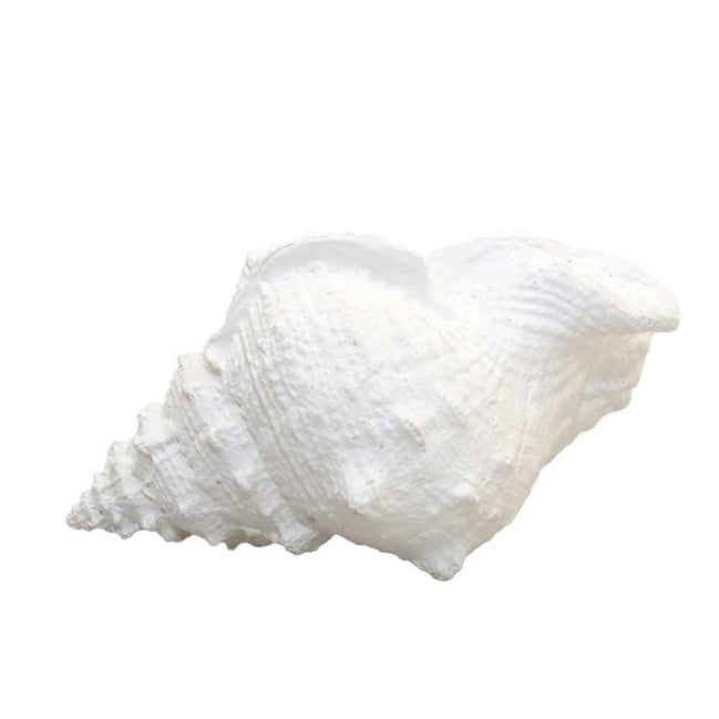 Dekorative weiße Schale 25x17x13cm AULICA