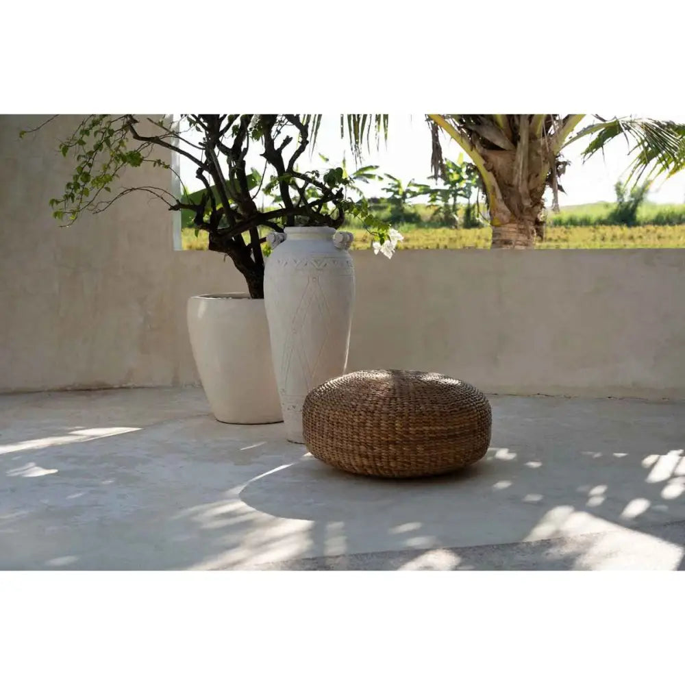 Der Hyazinthen-Hocker – Natur – M