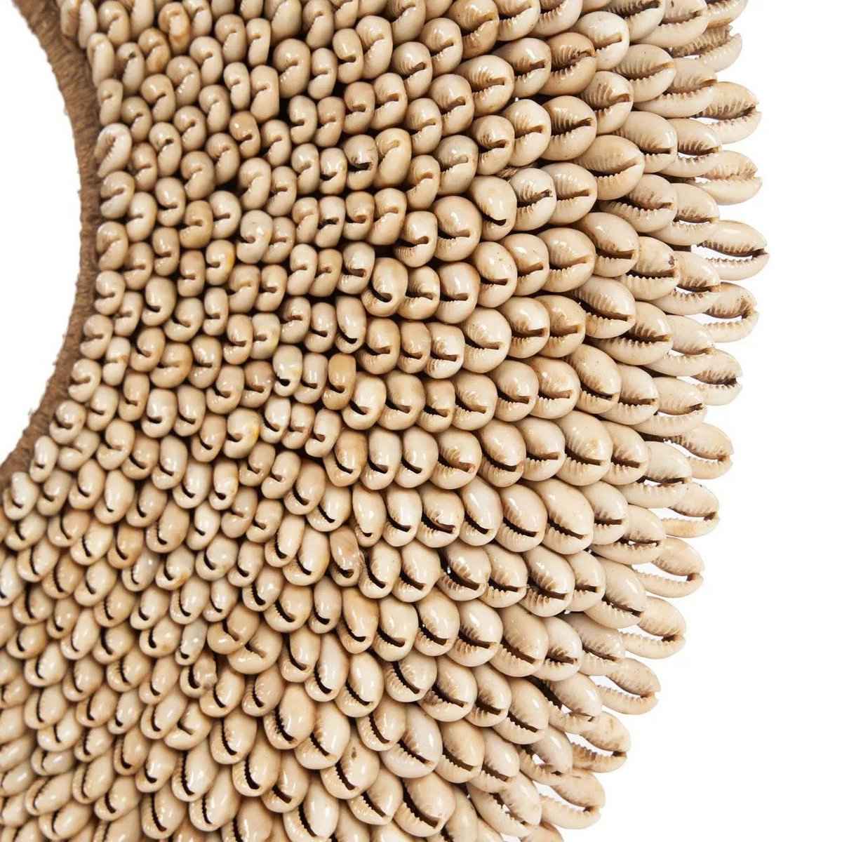 Die Muschel Réunion am Stand – Natur Bazar Bizar Living