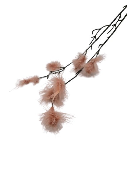Federzweig Trockenblume