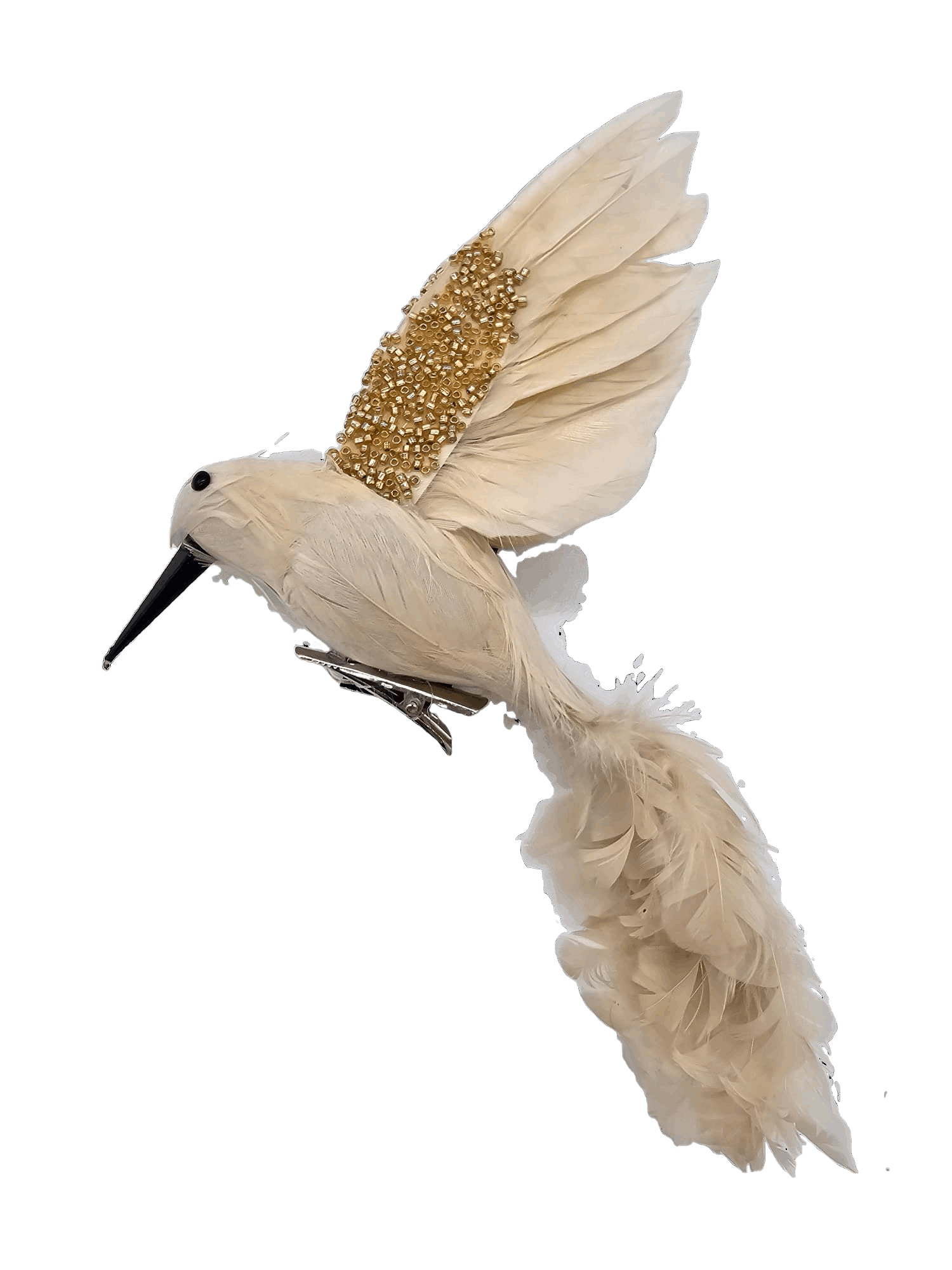 Kolibri ,echte Federn mit Clip HD Collection