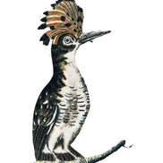 Kissen 