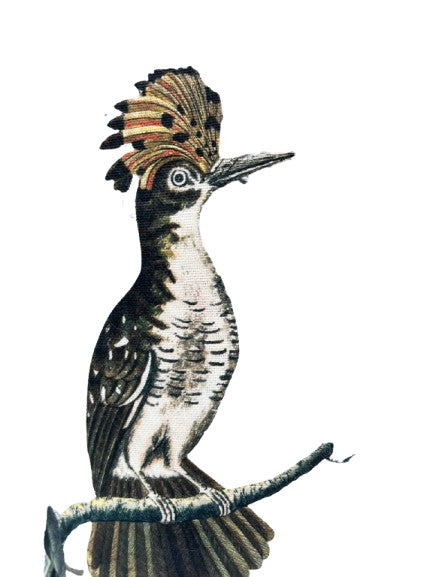 Cojín 