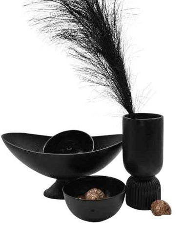 Pampasgras Zweig schwarz