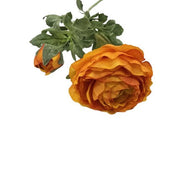 Ranunkel Seidenblume orange pimis living by Konceptpunkt