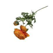 Ranunkel Seidenblume orange pimis living by Konceptpunkt