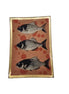 Teller Glas Fische in Orange / Schwarz